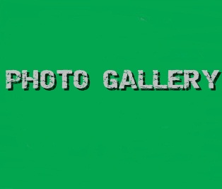 Photo Gallery